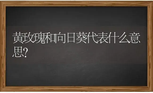 黄玫瑰和向日葵代表什么意思？ | 绿植常识