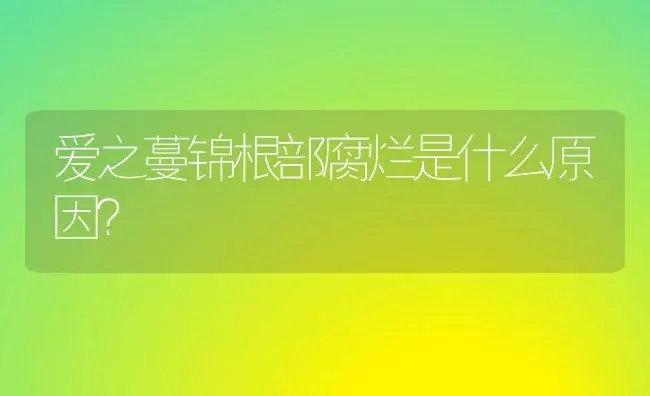 爱之蔓锦根部腐烂是什么原因？ | 多肉养殖