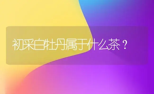 初采白牡丹属于什么茶？ | 多肉养殖