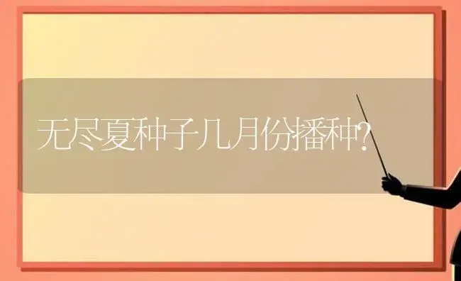 无尽夏种子几月份播种？ | 绿植常识