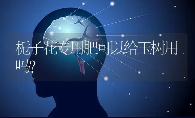 栀子花专用肥可以给玉树用吗？ | 多肉养殖
