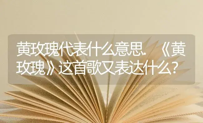 黄玫瑰代表什么意思.《黄玫瑰》这首歌又表达什么？ | 绿植常识