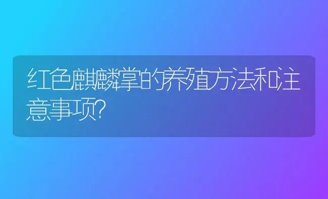 红色麒麟掌的养殖方法和注意事项？ | 多肉养殖