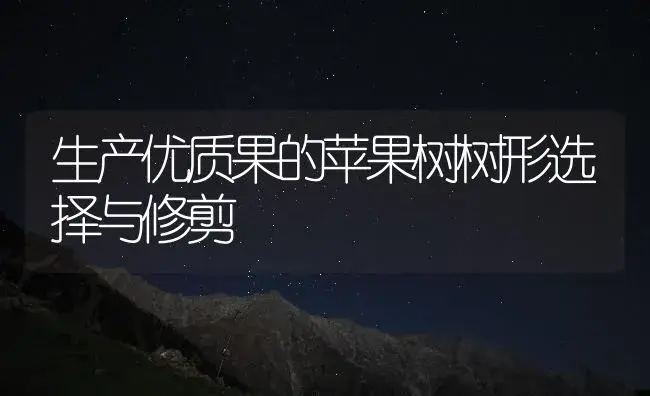 生产优质果的苹果树树形选择与修剪 | 果木种植