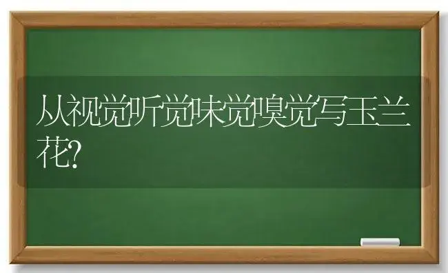 从视觉听觉味觉嗅觉写玉兰花？ | 绿植常识