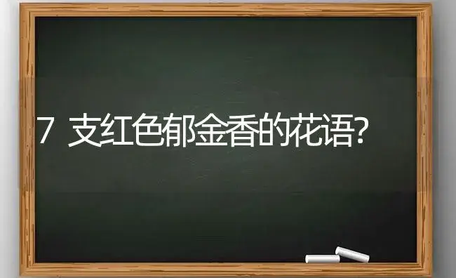 7支红色郁金香的花语？ | 绿植常识