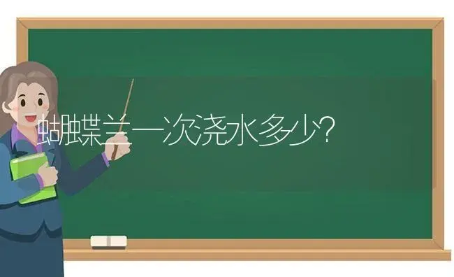 蝴蝶兰一次浇水多少？ | 绿植常识