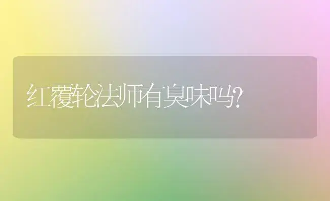 红覆轮法师有臭味吗？ | 多肉养殖