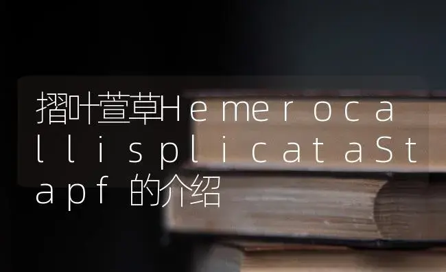 摺叶萱草HemerocallisplicataStapf的介绍 | 特种种植