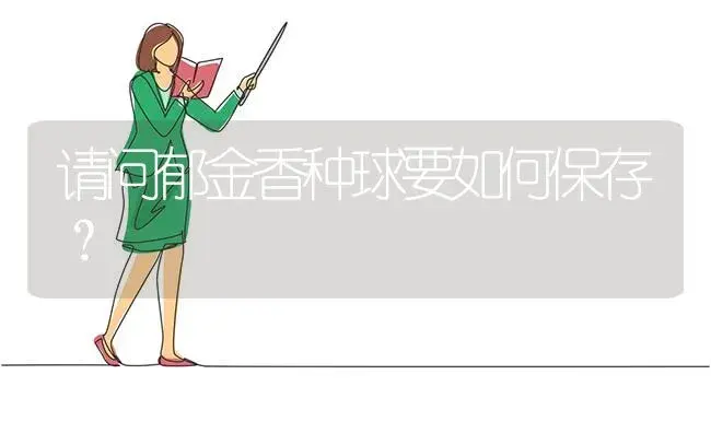 请问郁金香种球要如何保存？ | 绿植常识