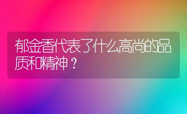 郁金香代表了什么高尚的品质和精神？ | 绿植常识