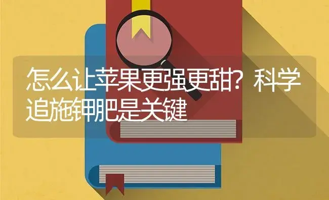 怎么让苹果更强更甜？科学追施钾肥是关键 | 果木种植