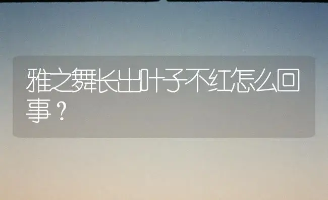 雅之舞长出叶子不红怎么回事？ | 多肉养殖