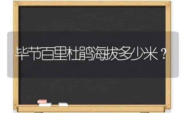 毕节百里杜鹃海拔多少米？ | 绿植常识