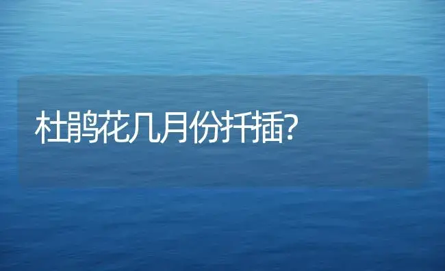 杜鹃花几月份扦插？ | 绿植常识