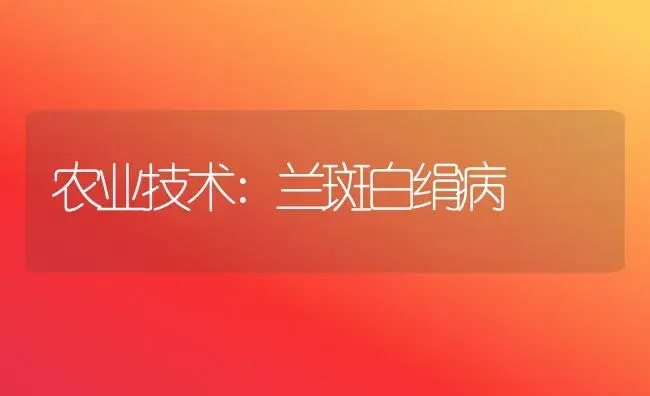 农业技术:兰斑白绢病 | 家庭养花