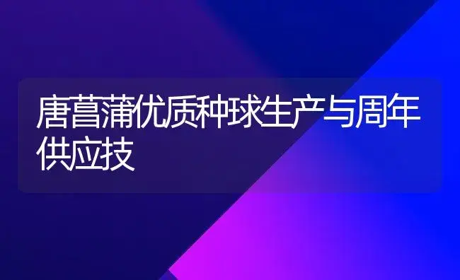 唐菖蒲优质种球生产与周年供应技 | 家庭养花