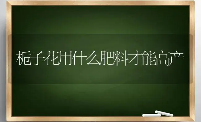 栀子花用什么肥料才能高产 | 绿植常识