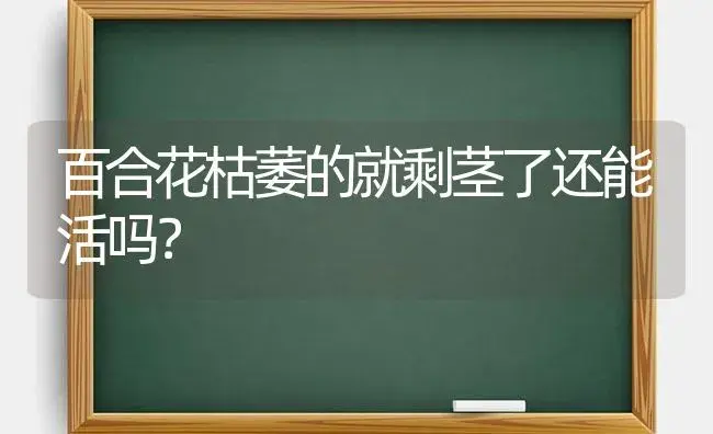 百合花枯萎的就剩茎了还能活吗？ | 绿植常识