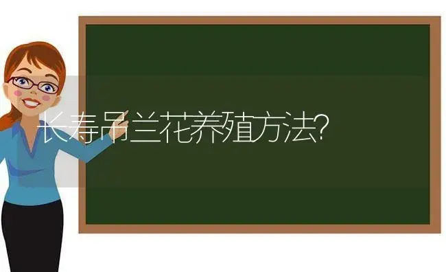 长寿吊兰花养殖方法？ | 多肉养殖