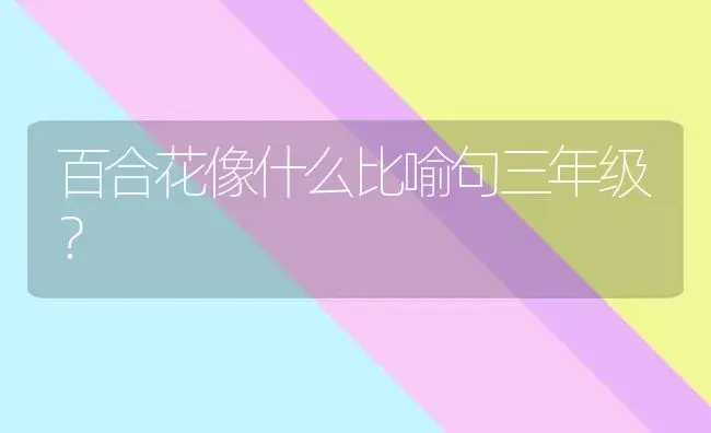 百合花像什么比喻句三年级？ | 绿植常识