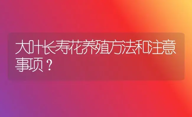 大叶长寿花养殖方法和注意事项？ | 多肉养殖