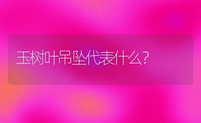 玉树叶吊坠代表什么？ | 多肉养殖