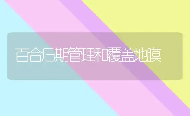 百合后期管理和覆盖地膜 | 家庭养花