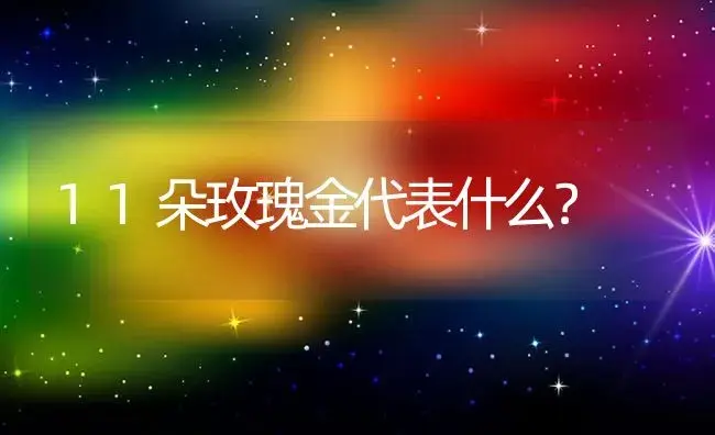 11朵玫瑰金代表什么？ | 绿植常识