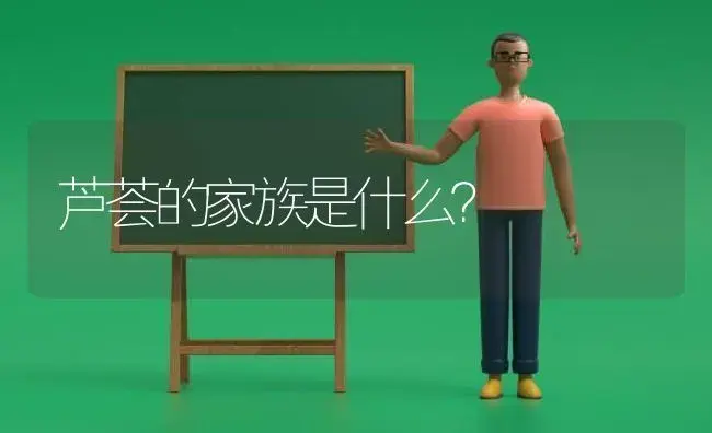 芦荟的家族是什么？ | 多肉养殖