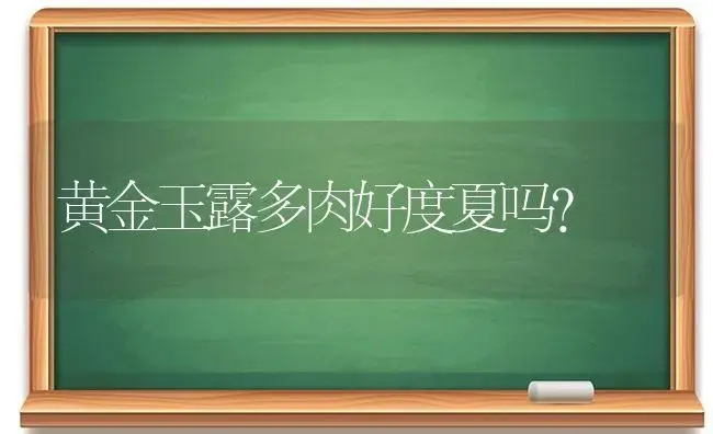 黄金玉露多肉好度夏吗？ | 多肉养殖