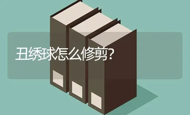 丑绣球怎么修剪？ | 绿植常识