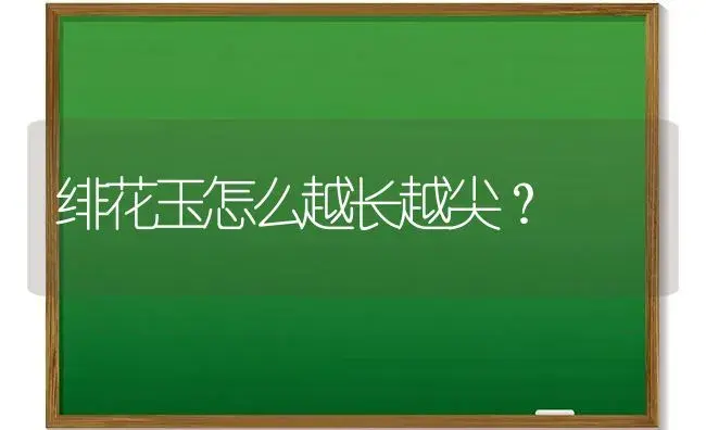 绯花玉怎么越长越尖？ | 多肉养殖
