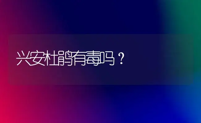 兴安杜鹃有毒吗？ | 绿植常识