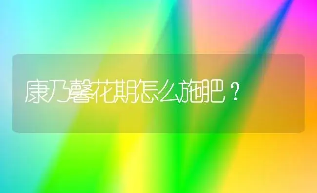 康乃馨花期怎么施肥？ | 绿植常识