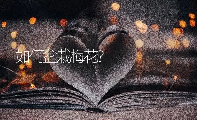 如何盆栽梅花? | 特种种植