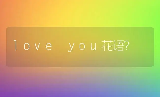 love you花语？ | 绿植常识