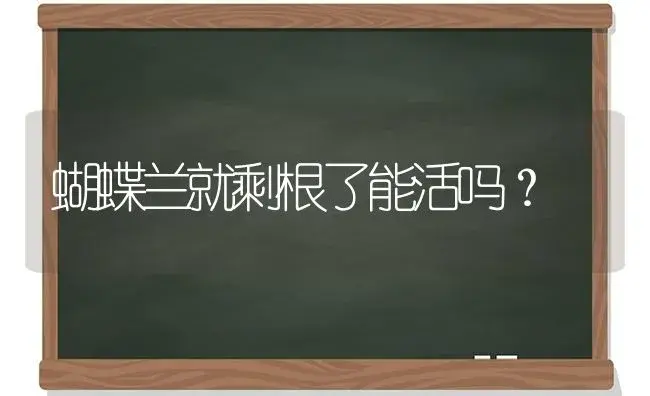 蝴蝶兰就剩根了能活吗？ | 绿植常识