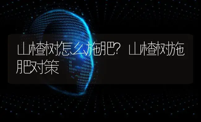 山楂树怎么施肥？山楂树施肥对策 | 果木种植