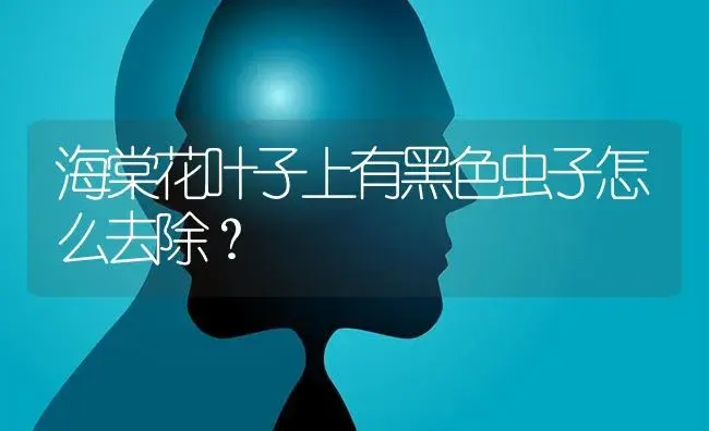 海棠花叶子上有黑色虫子怎么去除？ | 绿植常识