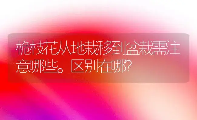 桅枝花从地栽移到盆栽需注意哪些。区别在哪？ | 绿植常识