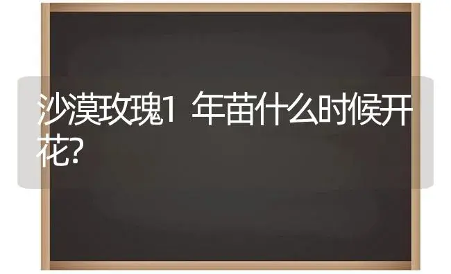 沙漠玫瑰1年苗什么时候开花？ | 绿植常识