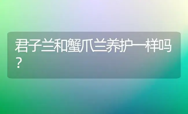 君子兰和蟹爪兰养护一样吗？ | 多肉养殖