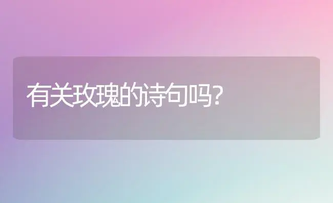 有关玫瑰的诗句吗？ | 绿植常识