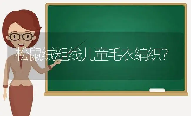 松鼠绒粗线儿童毛衣编织？ | 多肉养殖