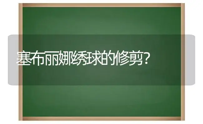 塞布丽娜绣球的修剪？ | 绿植常识