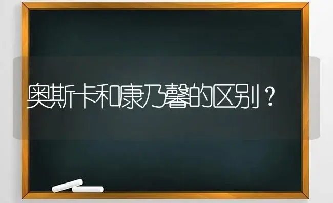 奥斯卡和康乃馨的区别？ | 绿植常识