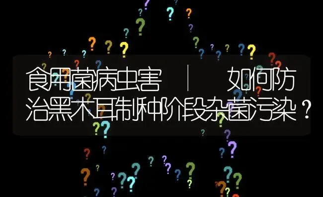 如何防治黑木耳制种阶段杂菌污染？ | 菌菇种植