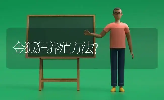 金狐狸养殖方法？ | 多肉养殖