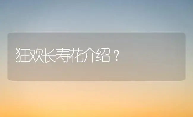 狂欢长寿花介绍？ | 多肉养殖